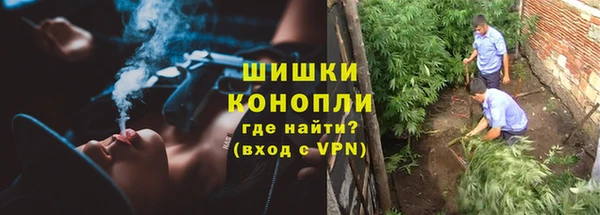 хмурый Балабаново